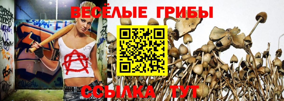 Киреевск  купить  сайты  Вход с VPN  Галлюциногенные грибы Psilocybine cubensis 